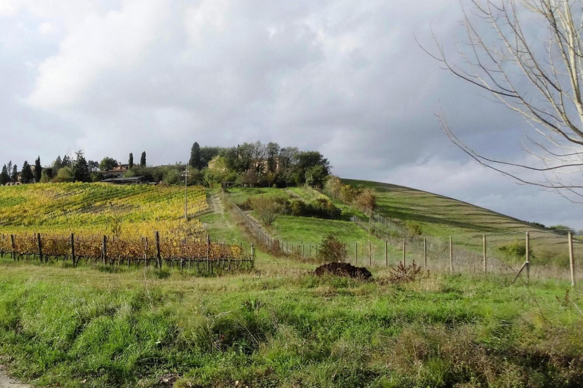 Fattoria Bio Pieve A Salti Montalcino Lägenhet Exteriör bild
