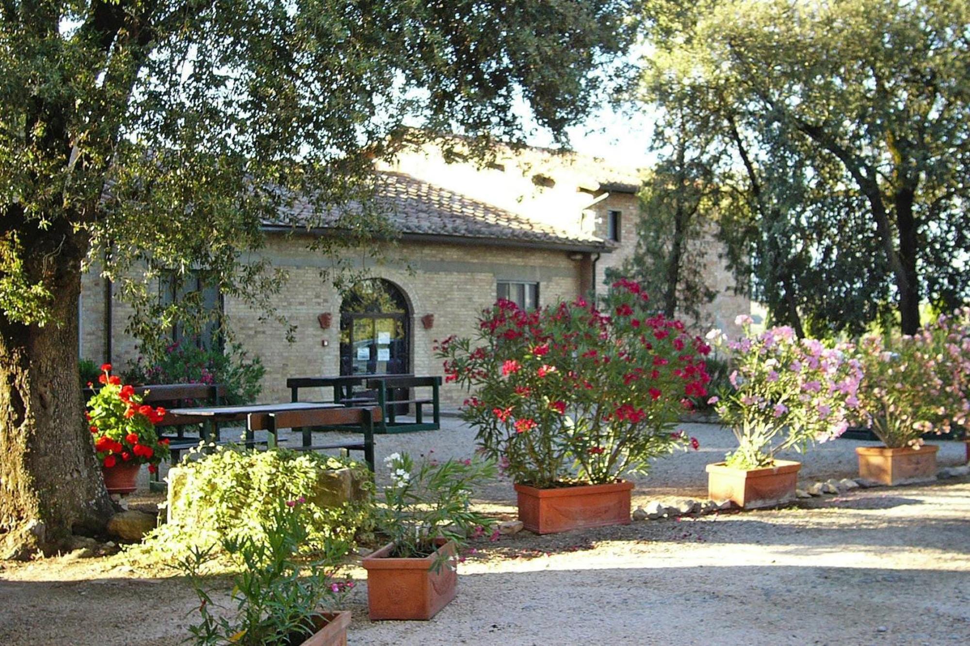 Fattoria Bio Pieve A Salti Montalcino Lägenhet Exteriör bild
